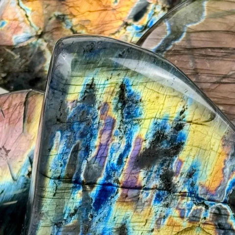 Iridescent labradorite stones in free forms, showcasing vibrant blue, yellow, and purple flashes.