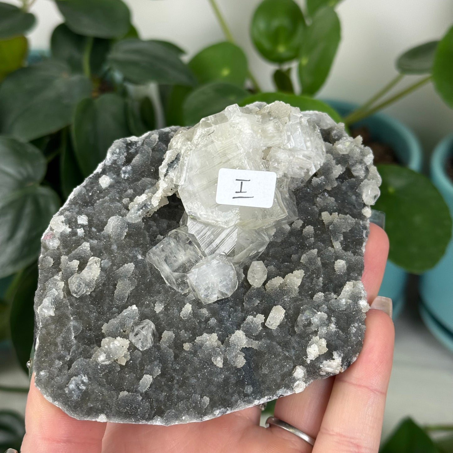 Black Chalcedony with Glossy Apophyllite