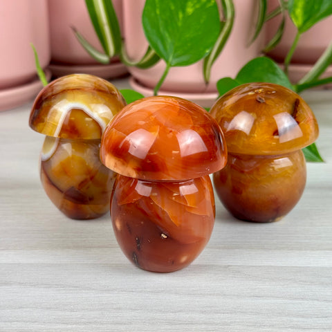 Carnelian Mushroom - Crystal Carving