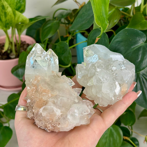Apophyllite Cluster
