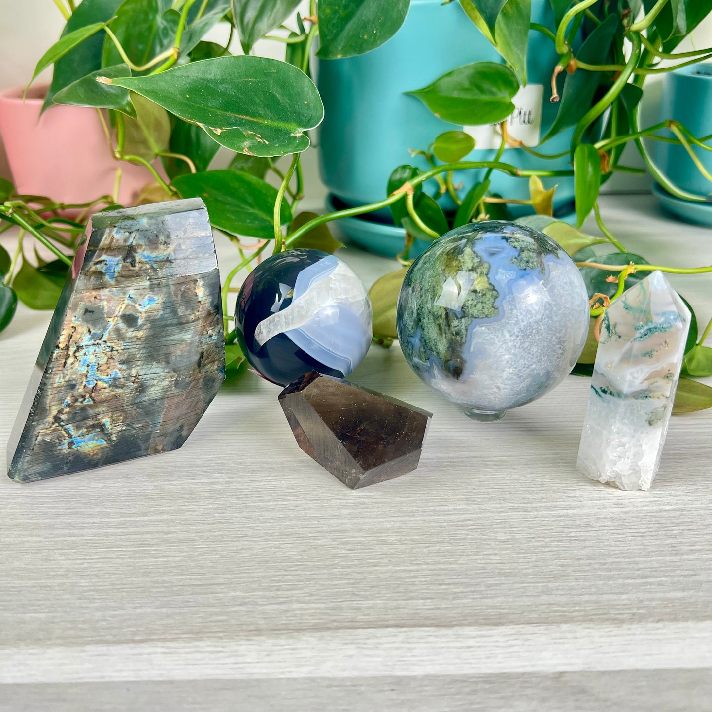 Nature's Dream Bundle