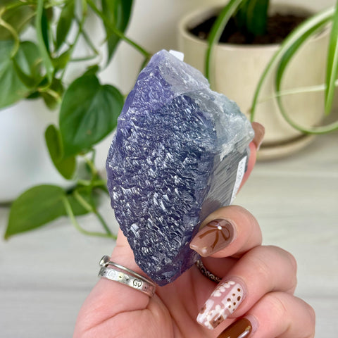 Bicolour Kunzite