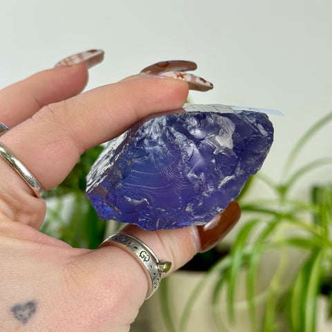 Bicolour Kunzite