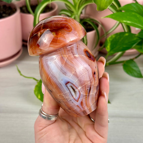 Carnelian Mushroom - Crystal Carving
