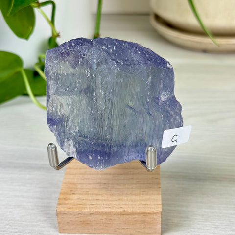 Bicolour Kunzite