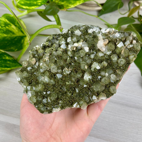 Forest Quartz