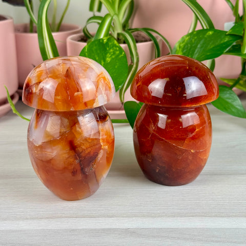 Carnelian Mushroom - Crystal Carving