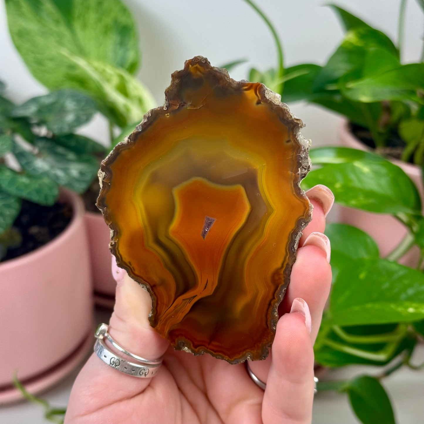 Indi Argentinian Agate