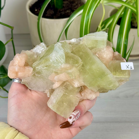 Green Goblin Apophyllite