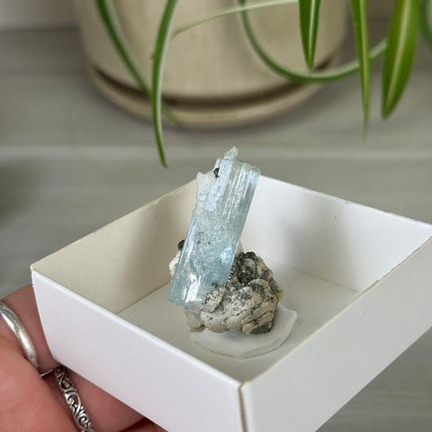 Aquamarine Specimen