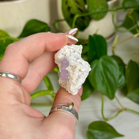 Kunzite Specimen - F