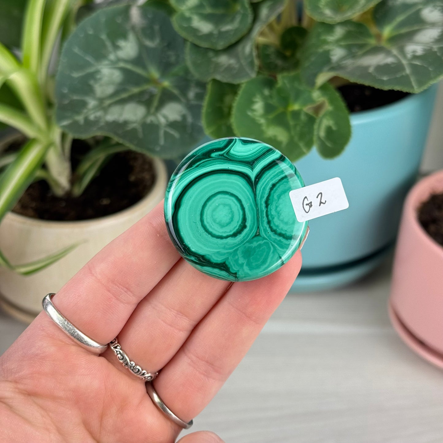 Malachite Cookie - G2