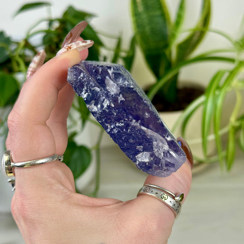 Bicolour Kunzite