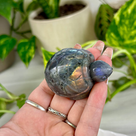 Sunset Labradorite Turtle