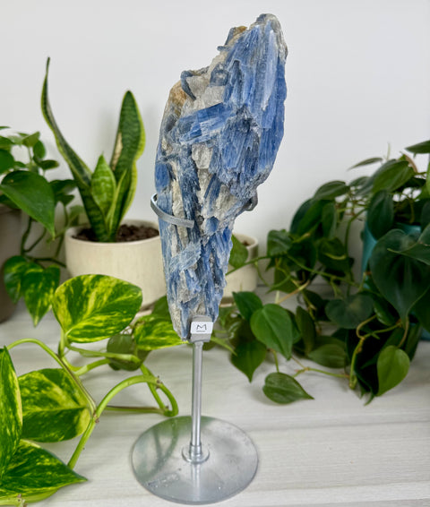 Kyanite Cluster (W/ Custom Stand)