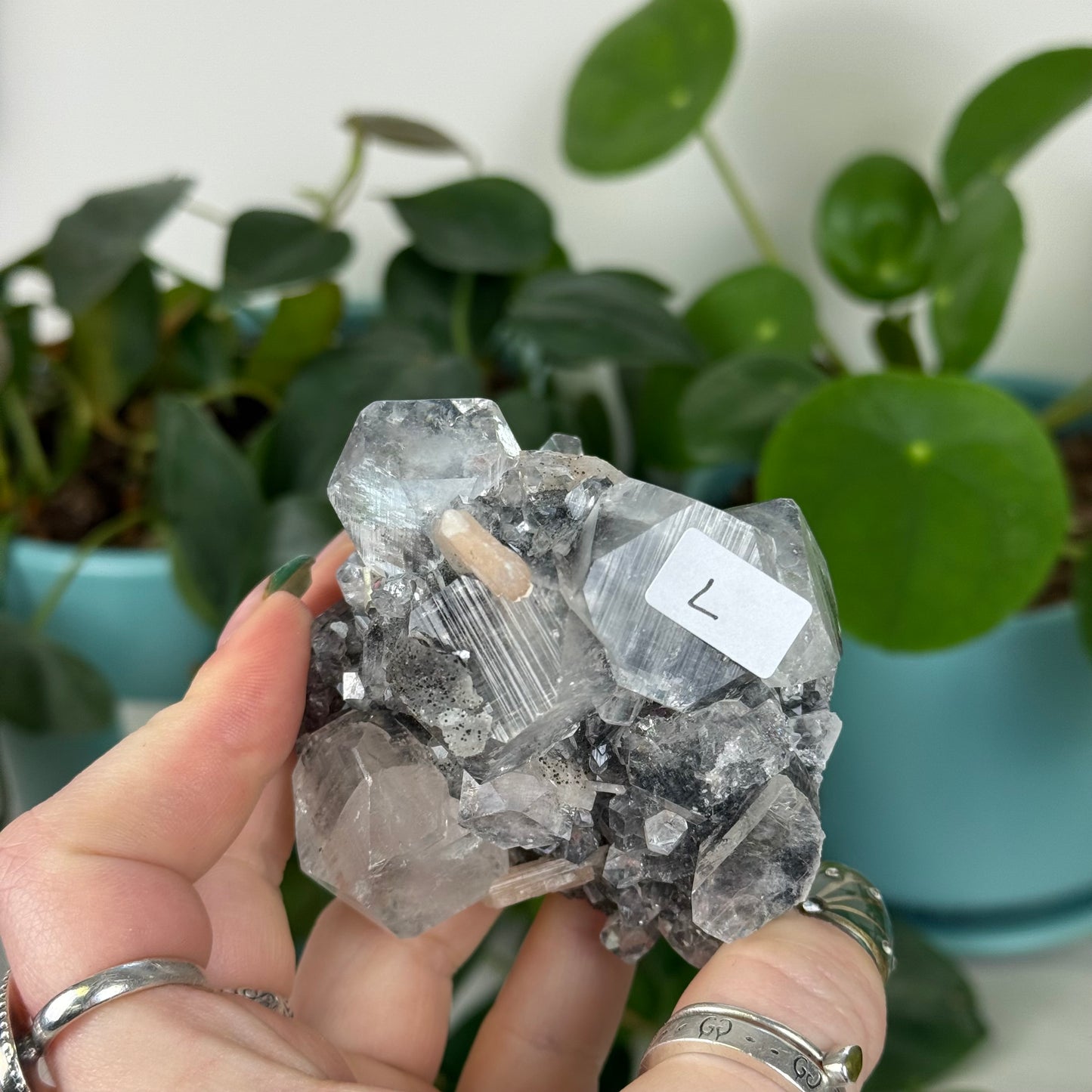 Black Chalcedony with Glossy Apophyllite