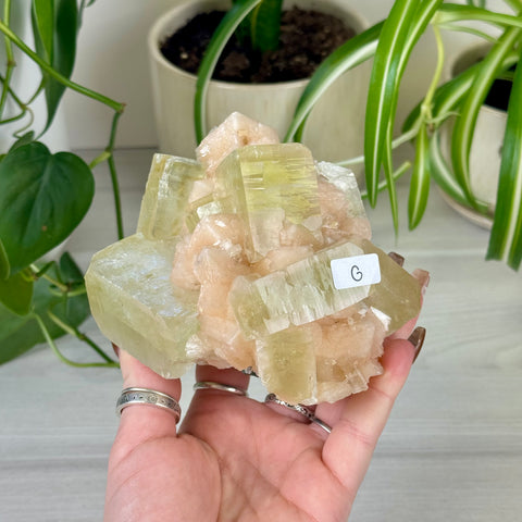 Green Goblin Apophyllite