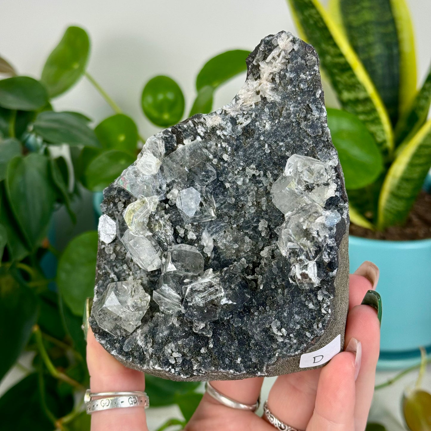 Black Chalcedony with Glossy Apophyllite