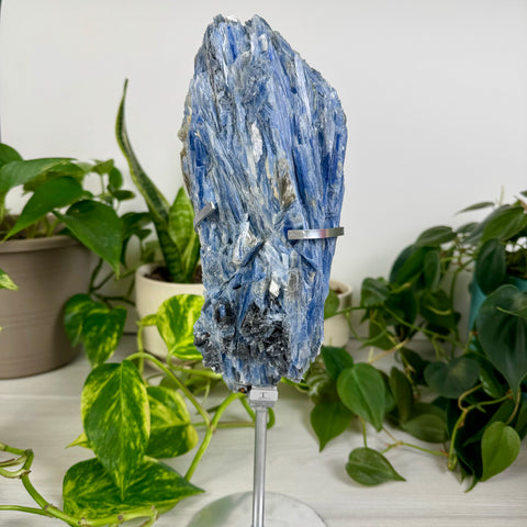 Kyanite Cluster (W/ Custom Stand)