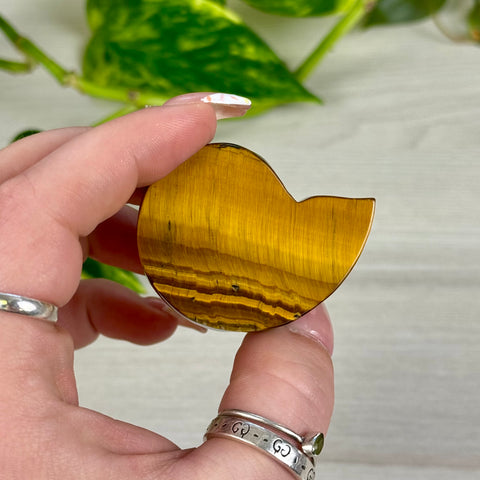Tiger's Eye Ammonite Carving