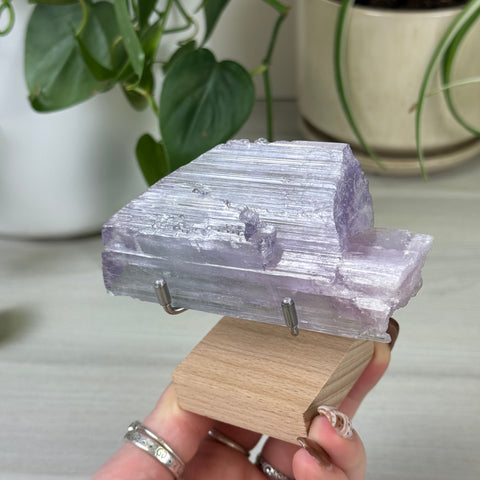 Cotton Candy Kunzite