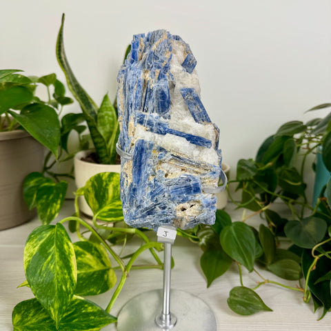 Kyanite Cluster (W/ Custom Stand)