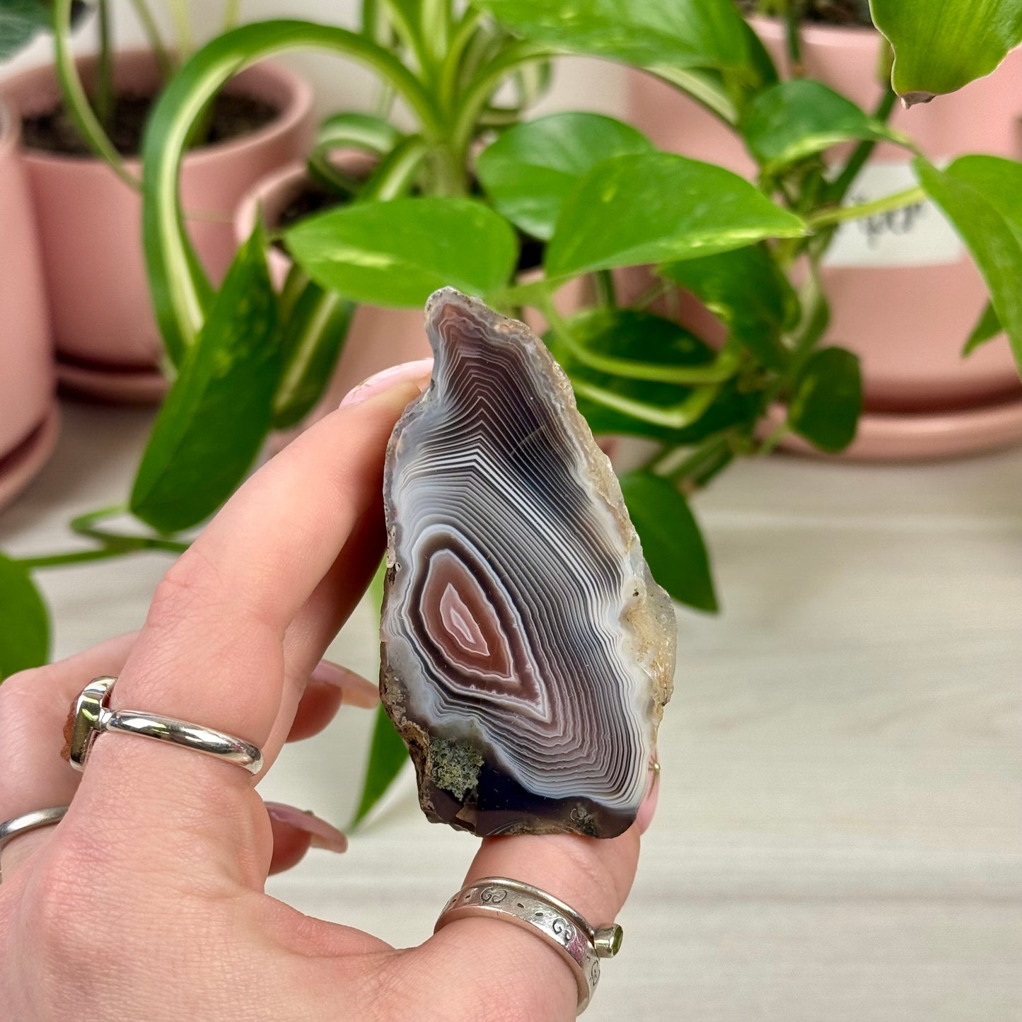 Indi Botswana Agate