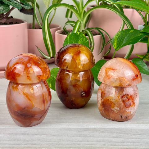 Carnelian Mushroom - Crystal Carving