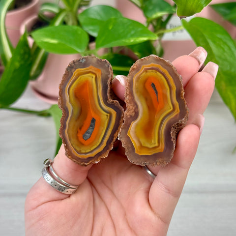 Perfect Malawi Agate Pair