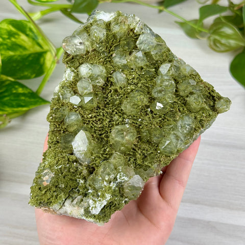 Forest Quartz