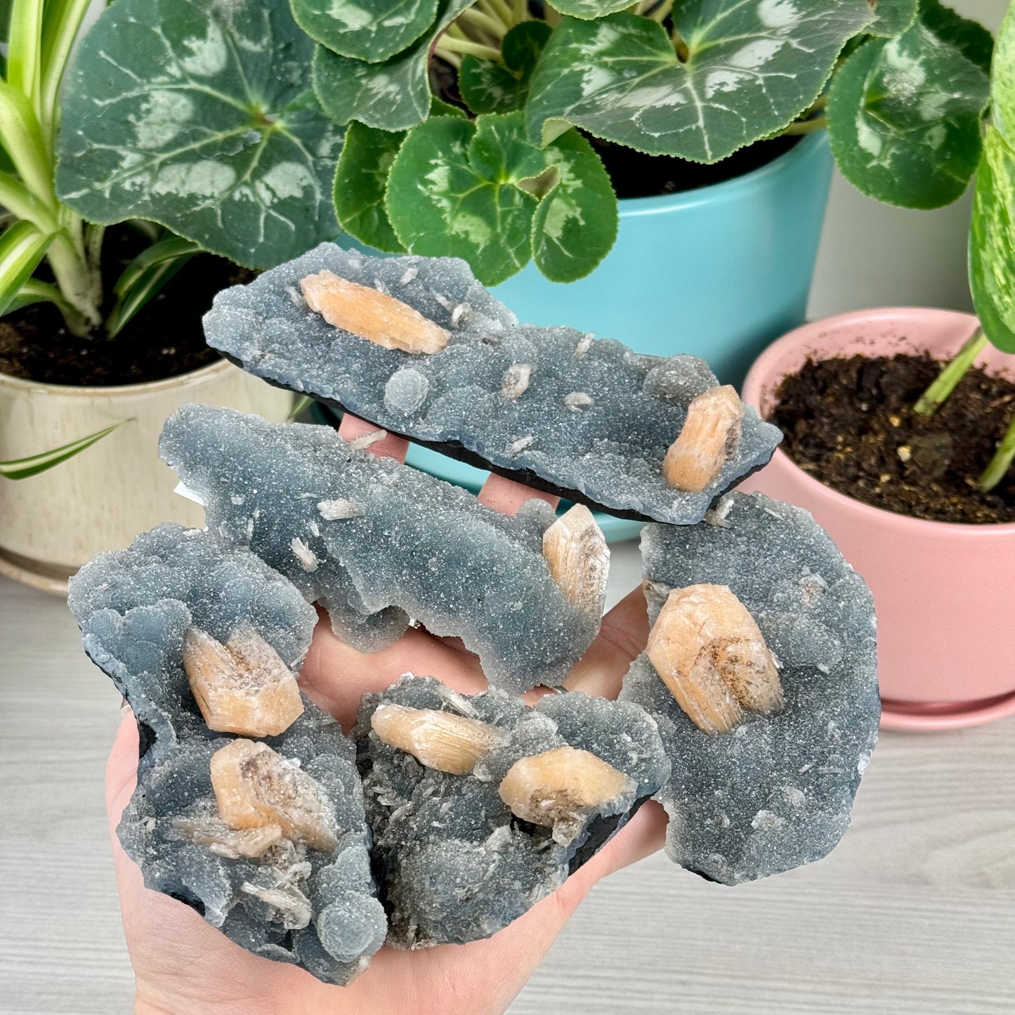 Orange Stilbite On Sparkling Blue Chalcedony