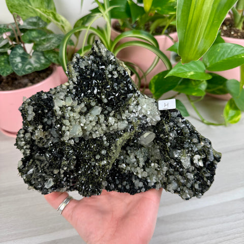 Black Epidote & Chlorite Quartz Specimen (Forest Quartz)