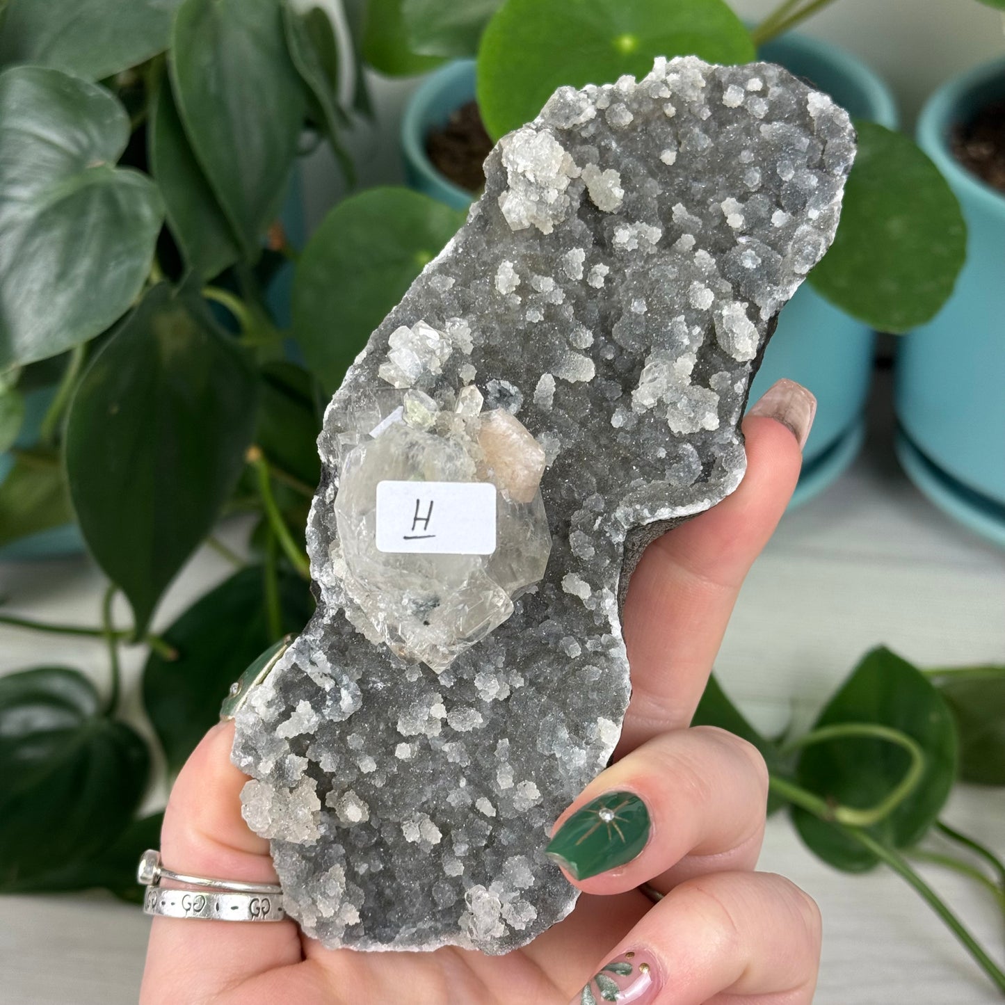 Black Chalcedony with Glossy Apophyllite