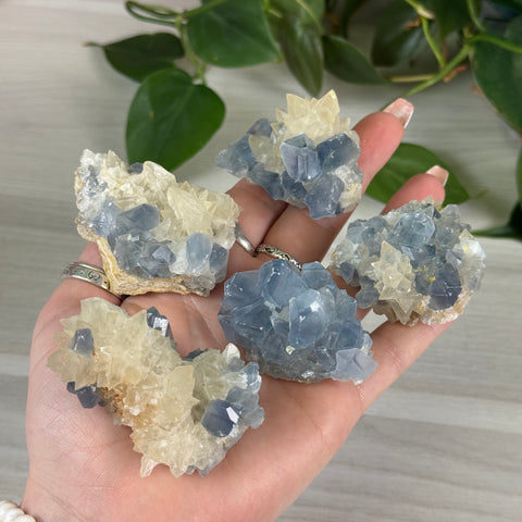Celestite With Calcite Specimen