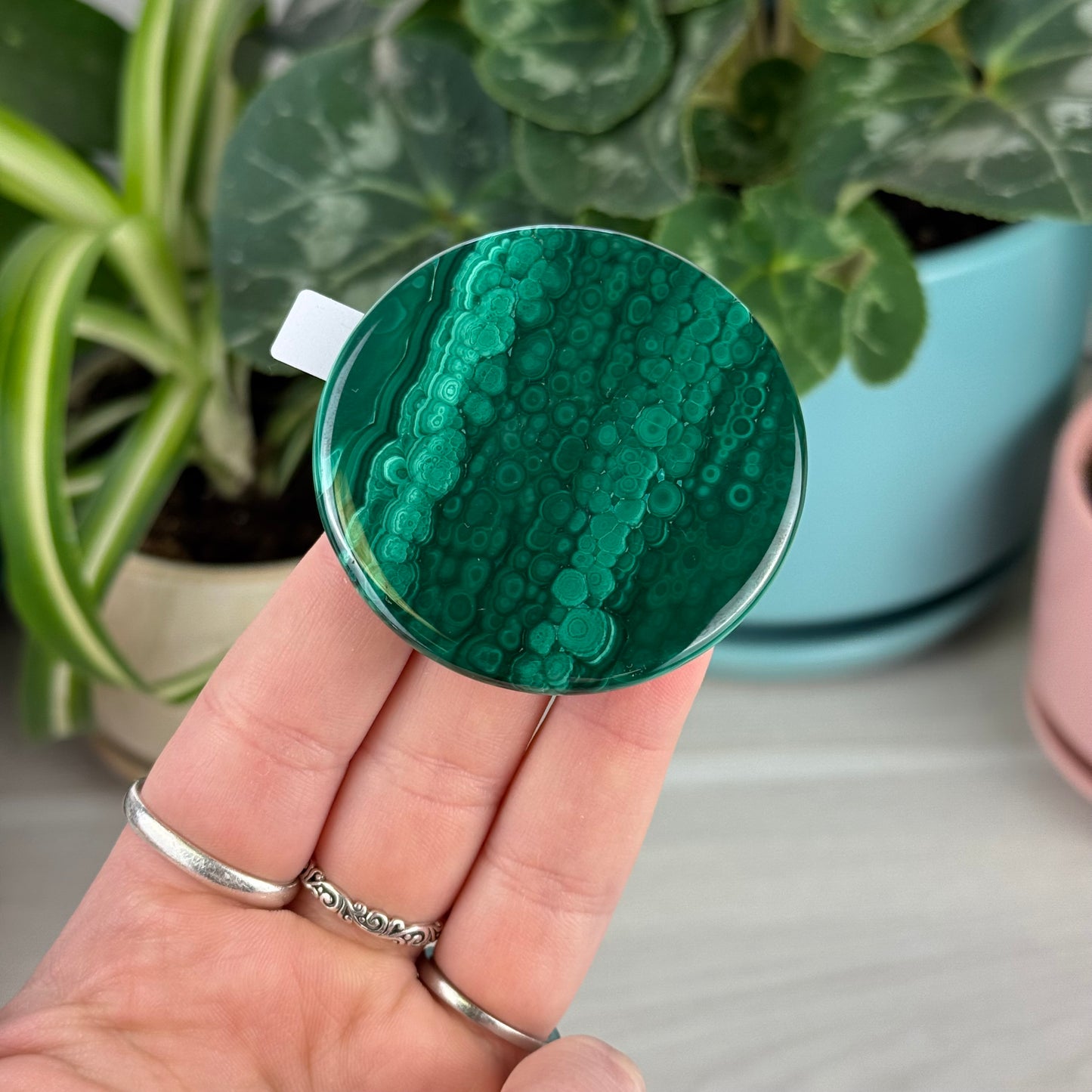 Malachite Cookie - F1