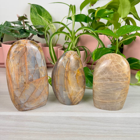 Peach Moonstone Free Form