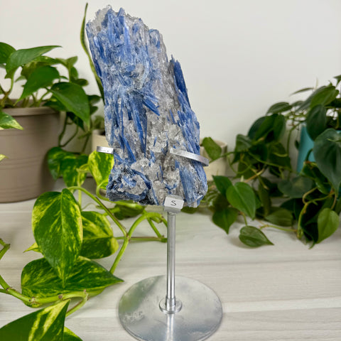 Kyanite Cluster (W/ Custom Stand)