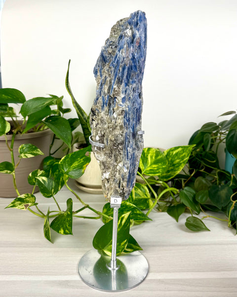 Kyanite Cluster (W/ Custom Stand)