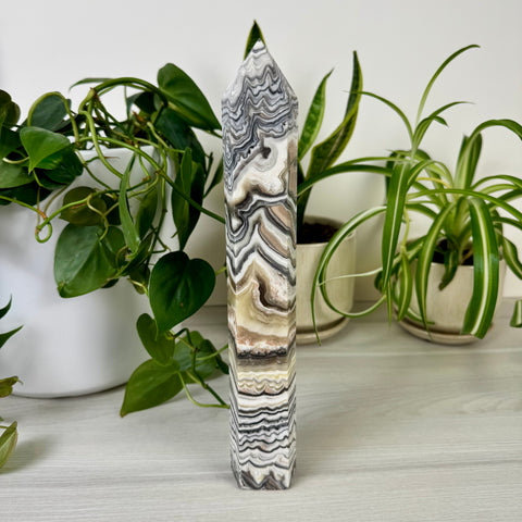 Zebra Jasper Tower