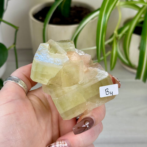 Green Goblin Apophyllite
