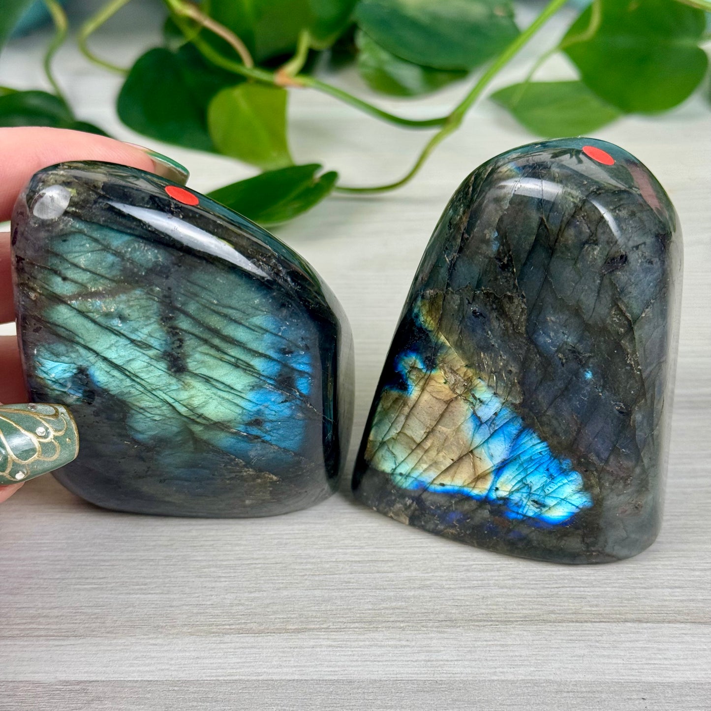 Green/Blue Labradorite Free Form