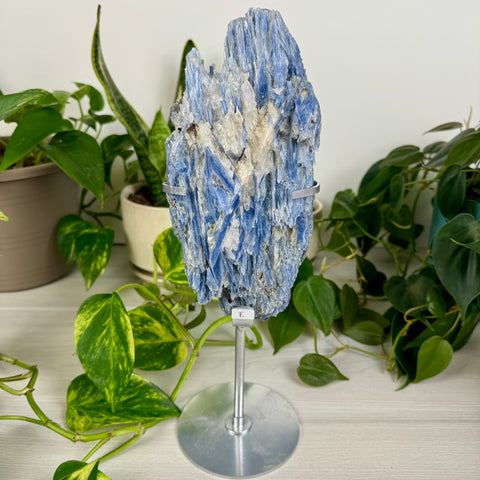 Kyanite Cluster (W/ Custom Stand)