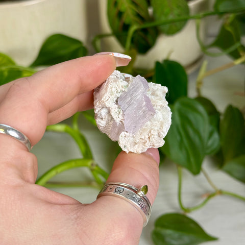 Kunzite Specimen - F