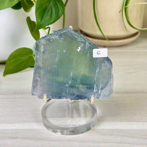 Bicolour Kunzite