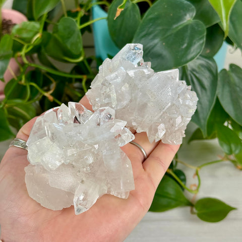 Apophyllite Cluster