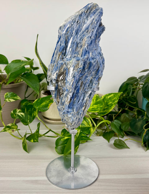 Kyanite Cluster (W/ Custom Stand)