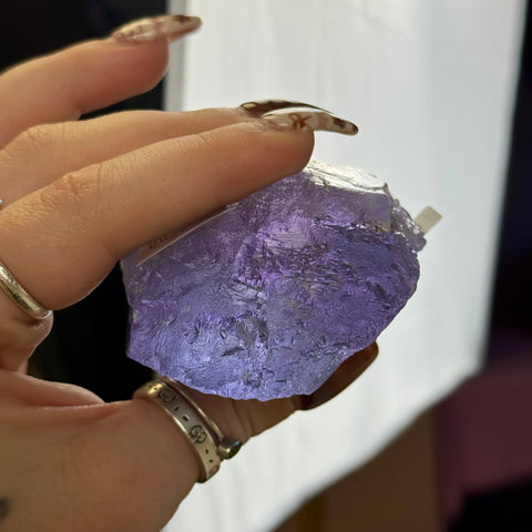 Bicolour Kunzite