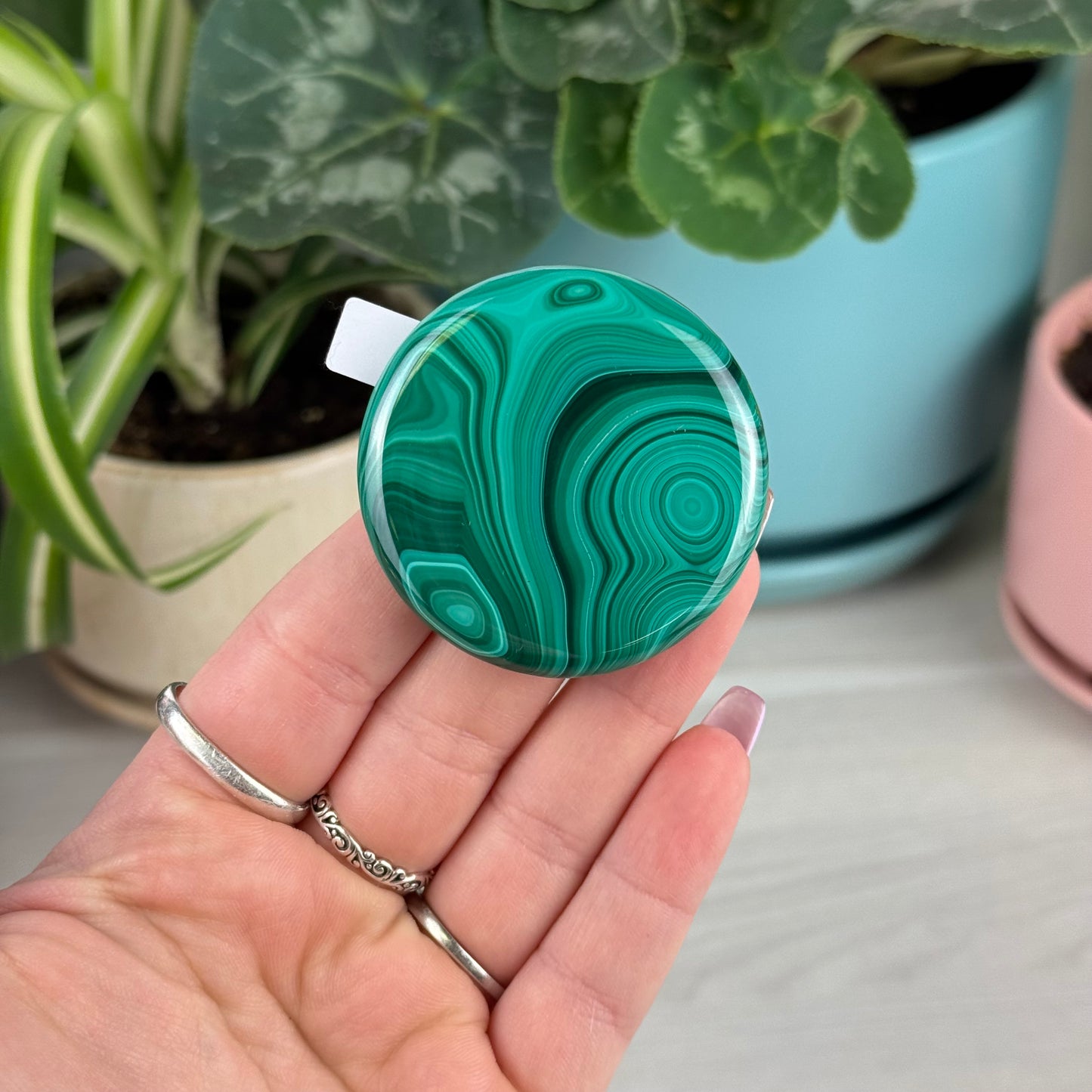 Malachite Cookie - L1