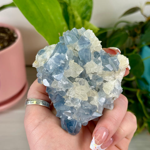 Celestite With Calcite Specimen