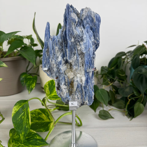 Kyanite Cluster (W/ Custom Stand)